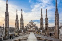 &quot;Milano katedros stogas&quot; Albina Jasinskaitė